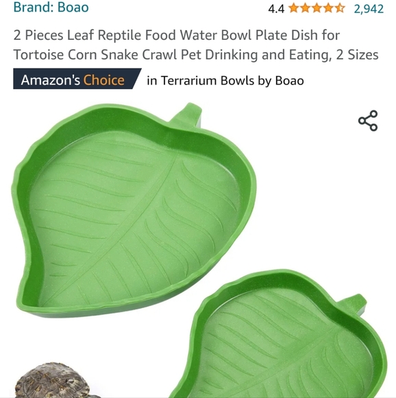 Reptile bundle - Picture 7 of 7